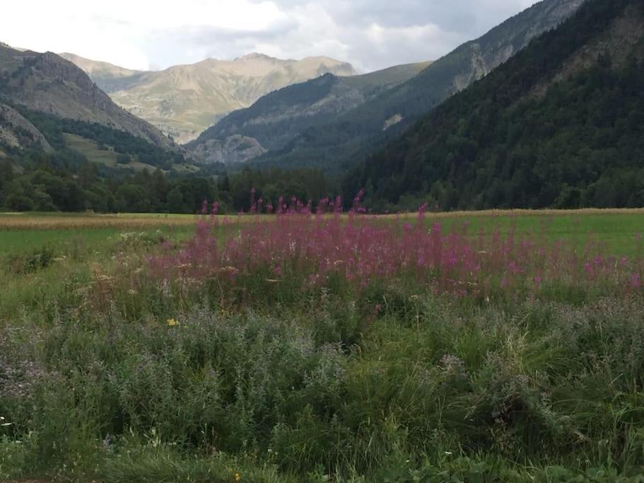 Appart Tres Ensoleille 5-6 Pers Au Pied Des Pistes Ancelle Eksteriør billede